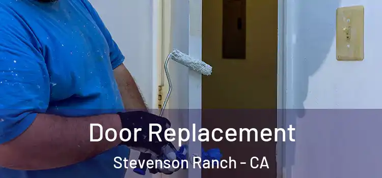 Door Replacement Stevenson Ranch - CA