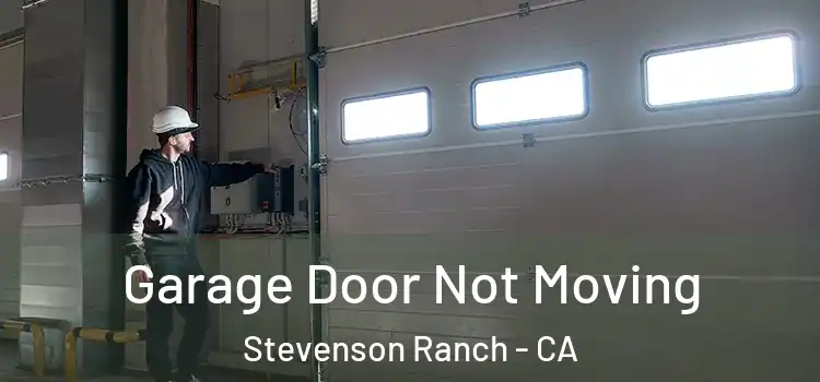 Garage Door Not Moving Stevenson Ranch - CA