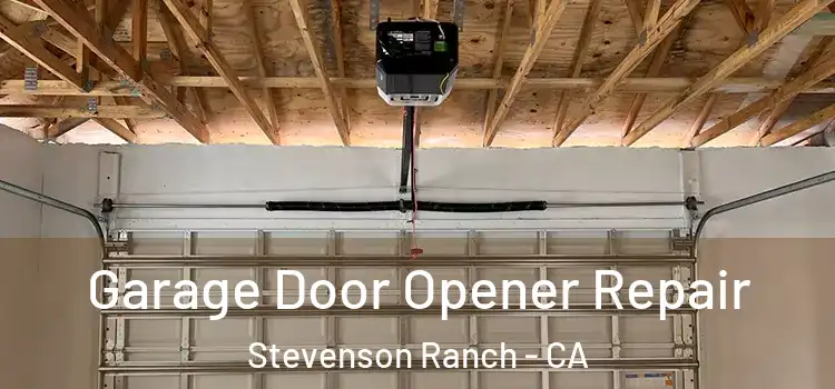  Garage Door Opener Repair Stevenson Ranch - CA
