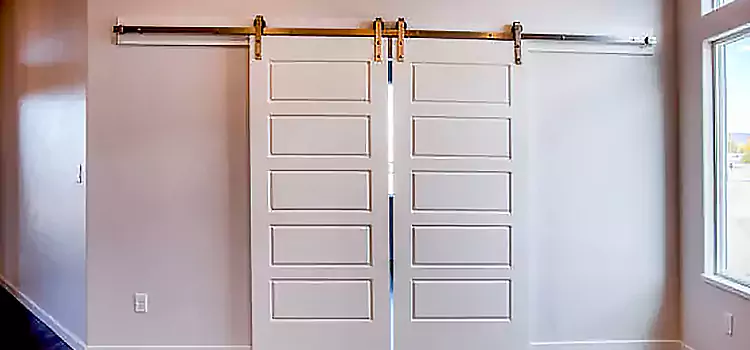Glass Barn Door with Installation Hardware Kit Stevenson Ranch