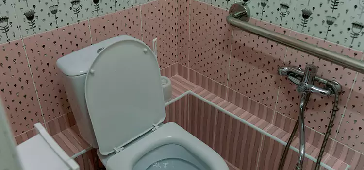 Meeting Diverse Needs With Accessible Restroom Solutions in Stevenson Ranch, CA