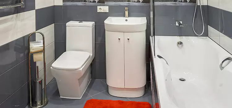 Hansgrohe Shaving Mirror Stevenson Ranch