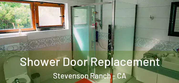  Shower Door Replacement Stevenson Ranch - CA
